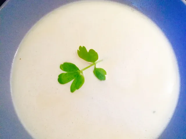 Erdäpfel-Parmesan Suppe 