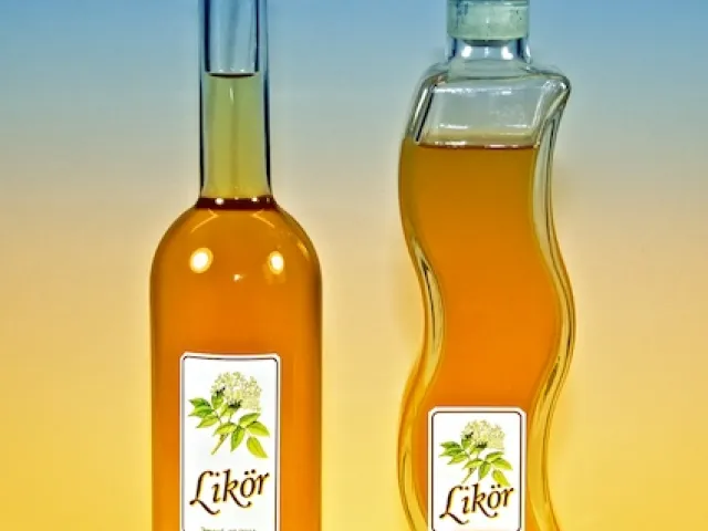 Hollerblütenlikör