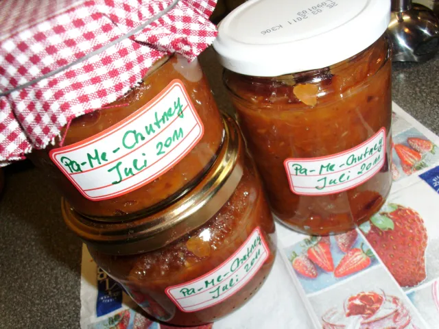 Melanzani - Paprika - Chutney