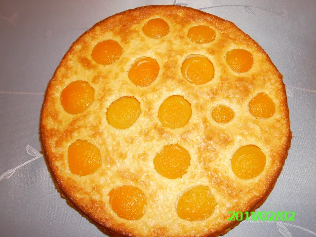 Reistorte mit Marillen